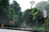 Hike up the Nanshixi 南勢溪 east of Fushan 福山 DSC_9422