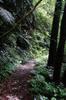 Hike up the Nanshixi 南勢溪 east of Fushan 福山 DSC_9444