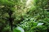 Hike up the Nanshixi 南勢溪 east of Fushan 福山 DSC_9448