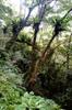 Hike up the Nanshixi 南勢溪 east of Fushan 福山 DSC_9453