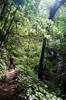 Hike up the Nanshixi 南勢溪 east of Fushan 福山 DSC_9457