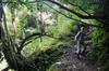 Hike up the Nanshixi 南勢溪 east of Fushan 福山 DSC_9469