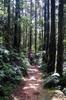 Hike up the Nanshixi 南勢溪 east of Fushan 福山 DSC_9495