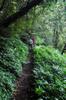 Hike up the Nanshixi 南勢溪 east of Fushan 福山 DSC_9501