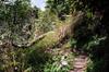 Hike up the Nanshixi 南勢溪 east of Fushan 福山 DSC_9503