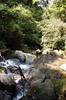 Hike up the Nanshixi 南勢溪 east of Fushan 福山 DSC_9507