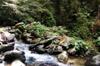 Hike up the Nanshixi 南勢溪 east of Fushan 福山 DSC_9509