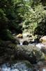 Hike up the Nanshixi 南勢溪 east of Fushan 福山 DSC_9515