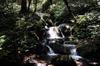 Hike up the Nanshixi 南勢溪 east of Fushan 福山 DSC_9529