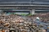 one of four streams with household, industry and pig waste pollution