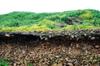 eroded road below coastal hills