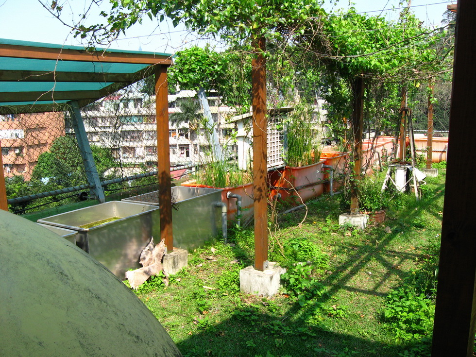 Seed Workshop and Green Rooftop, Compost Sites A570_0441