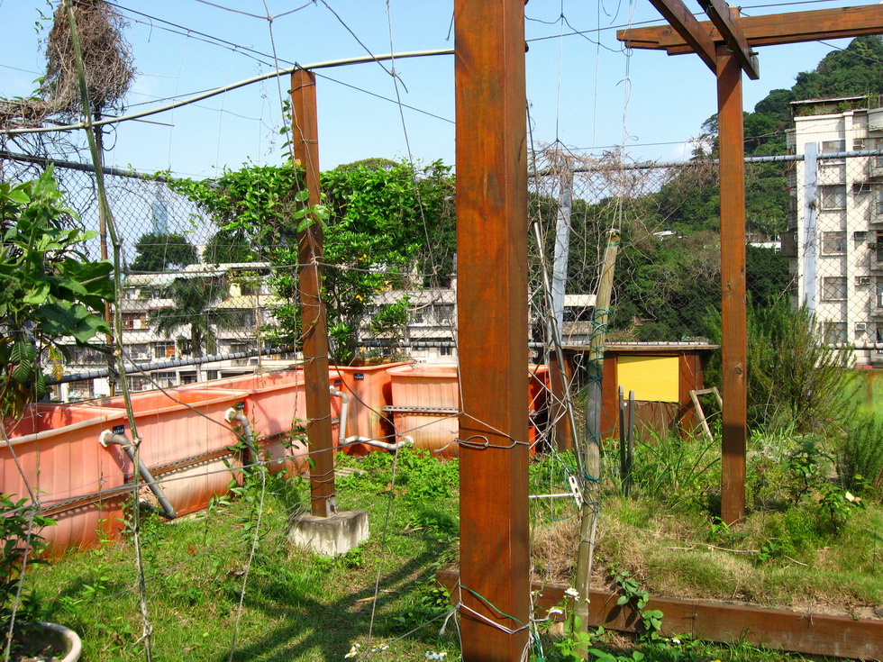 Seed Workshop and Green Rooftop, Compost Sites A570_0451