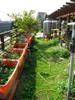 Seed Workshop and Green Rooftop, Compost Sites A570_0458