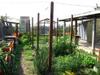 Seed Workshop and Green Rooftop, Compost Sites A570_0460