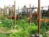 Seed Workshop and Green Rooftop, Compost Sites A570_0478