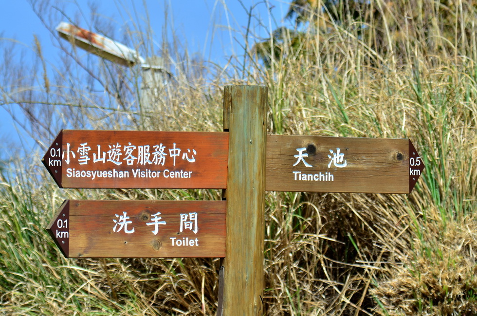 Anma Mountain 鞍馬山 DSC_5293