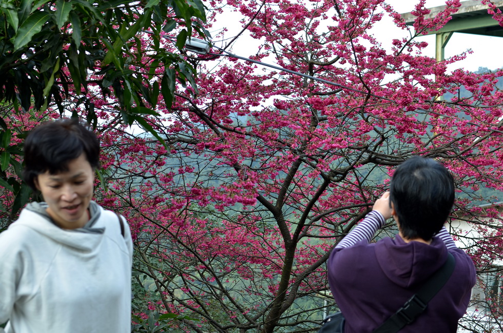 February DSC_0371