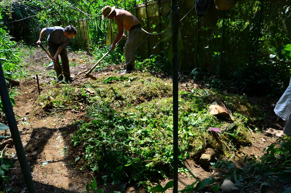 Garden City permaculture garden DSC_7378