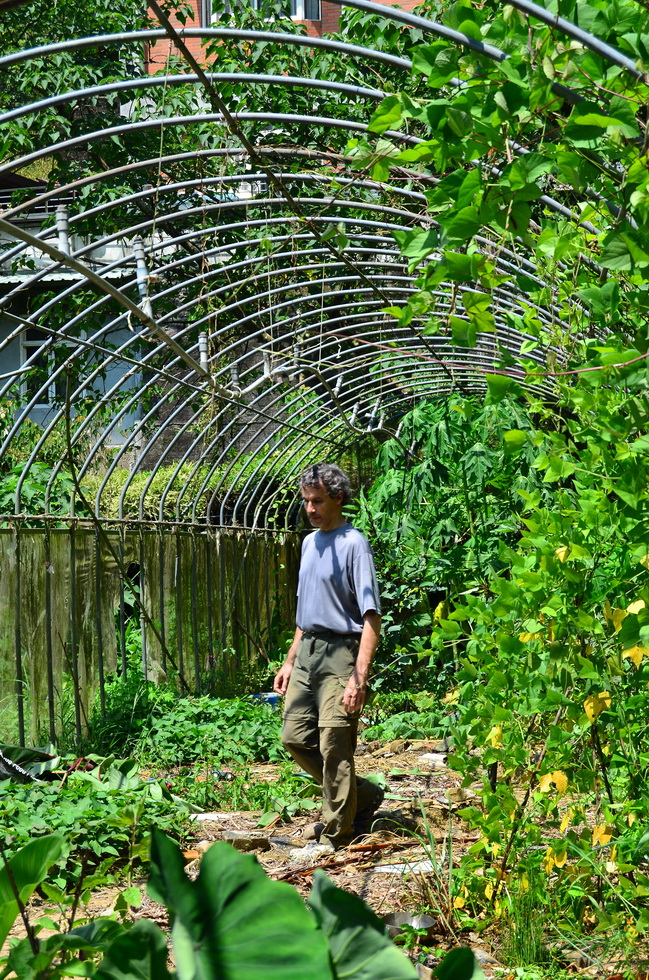 Garden City permaculture garden DSC_7389