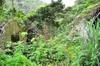 from inner path looking down at lower terrace hoop house entrance