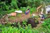 two large piles of manure in front of the first terrace - looks small for two tons