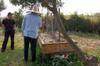 composting and getting ready for climbing plants