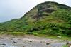 Tropical coastal landscape