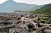 next photo: Driftwood clogs the beach, probably preventing the turtles from coming ashore