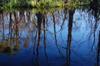 Okefenokee DSC_5542