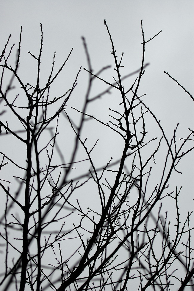 Winter DSC_4269