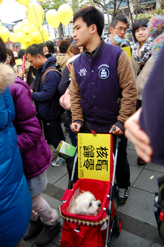311 Protest March DSC_6304