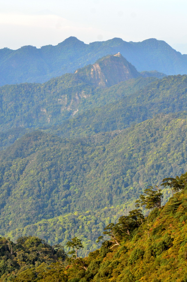 Anma Mountain 鞍馬山 DSC_9065