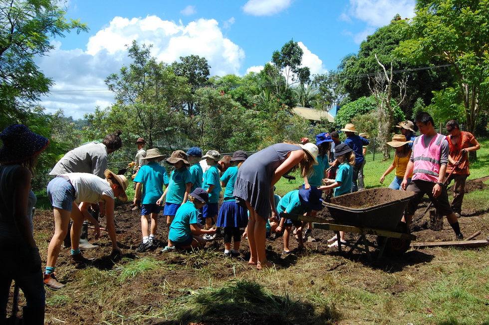 Urban Permaculture Project @ The Channon Primary School DSC_6047