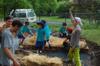 Urban Permaculture Project @ The Channon Primary School DSC_6194