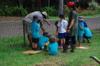 Urban Permaculture Project @ The Channon Primary School DSC_6217