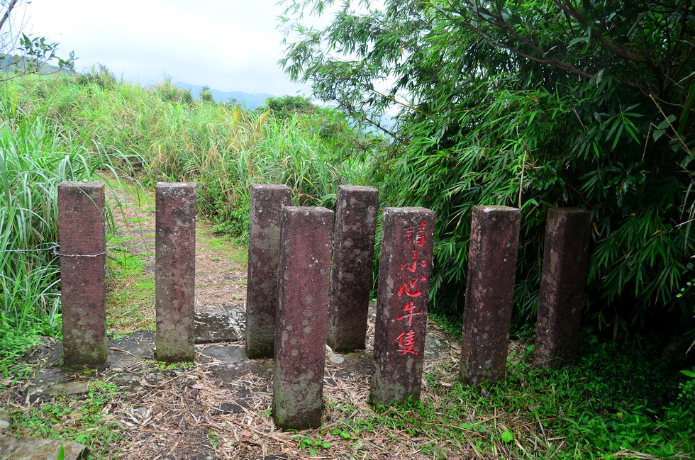 Caoling Trail 草嶺古道 DSC_9722