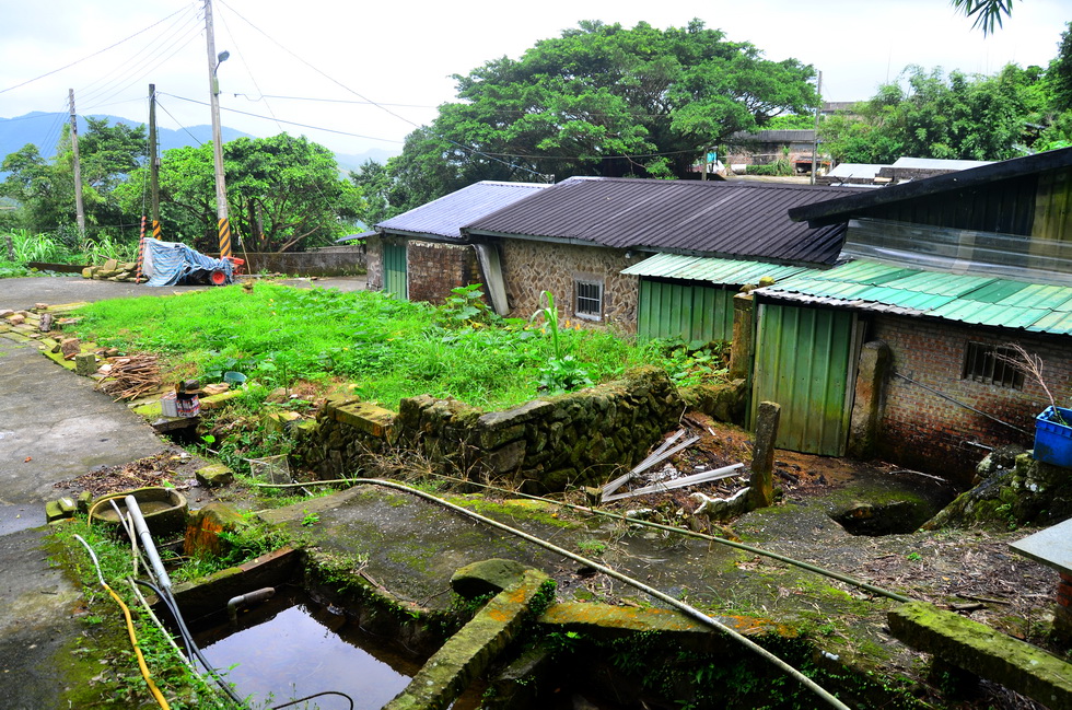 Caoling Trail 草嶺古道 DSC_9743