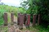 cattle block on the trail