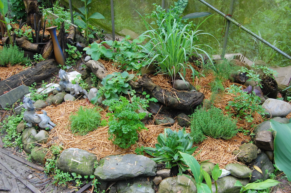 Garden City garden DSC_6547