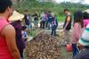 Talk and edible landscape design and Nanhua University DSC_7507