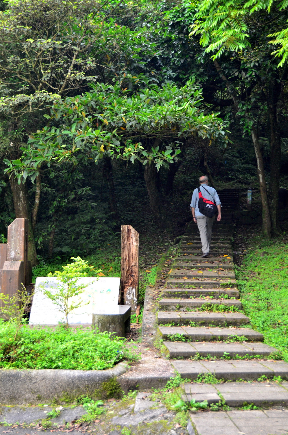 PingHsi 平溪 – 孝子山 and 慈母峰 DSC_9160