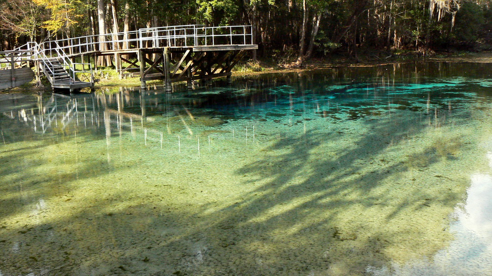 Blue Springs P1070467