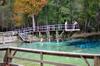 Blue Springs DSC_0014