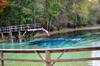 Blue Springs DSC_0048