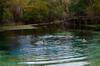 Blue Springs DSC_9993