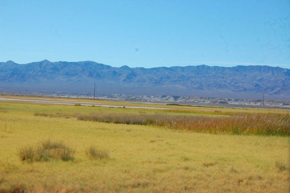 Travels to Las Vegas to visit family, desert excursion, eating together DSC_7076