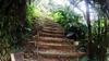 Community garden stairs