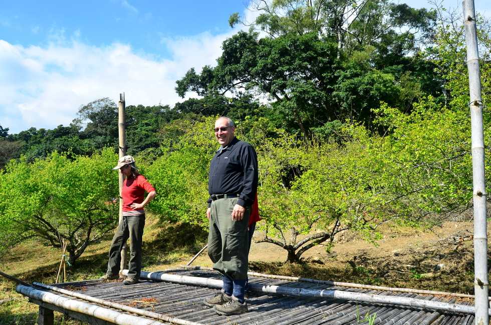 Nic's plum orchard in Luming 鹿鳴 DSC_0361