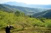 Nic's plum orchard in Luming 鹿鳴 DSC_0342